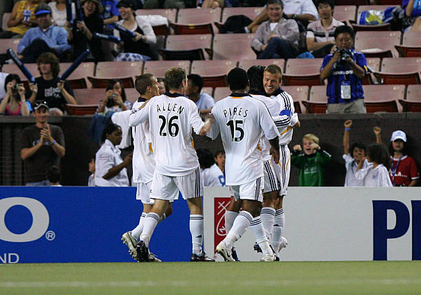 了球迷的归 了球迷的归