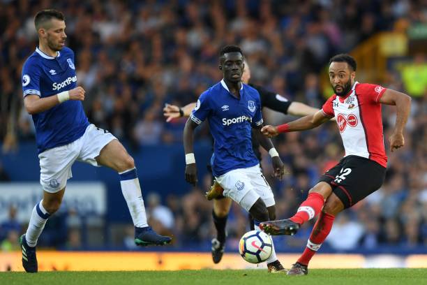 灰熊凭借团 灰熊凭借团